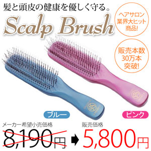 Scalp Brush